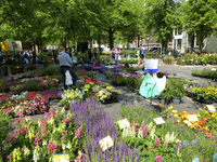 900411 Afbeelding van de bloemen- en plantenmarkt op het Janskerkhof te Utrecht.